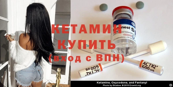 трава Бородино