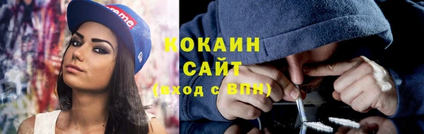 мескалин Богданович