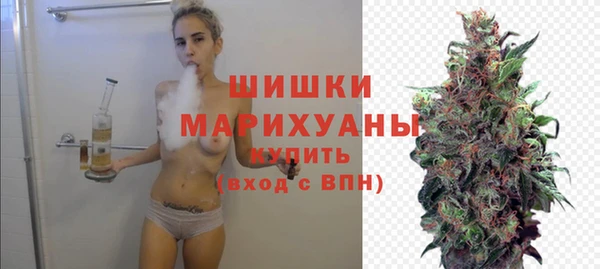 трава Бородино
