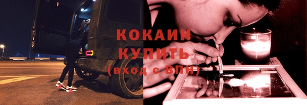 кокс Богородицк