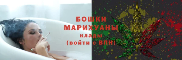 трава Бородино