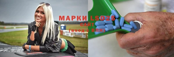 мескалин Богданович