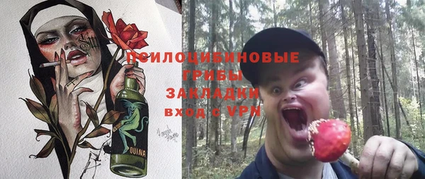 трава Бородино