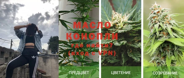 кокс Богородицк