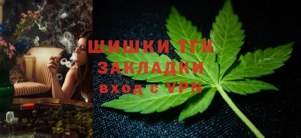 трава Бородино