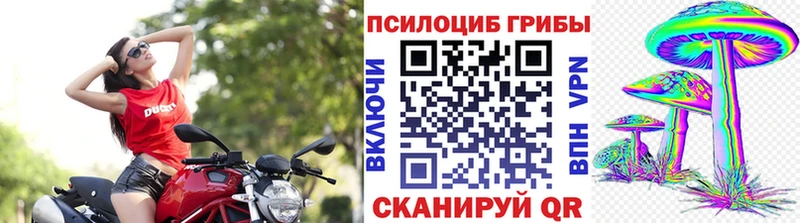 Псилоцибиновые грибы Psilocybine cubensis  MEGA как войти  Надым 